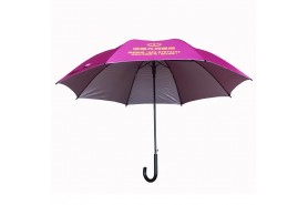Qianqian Umbrella-23 inch straight umbrella 031