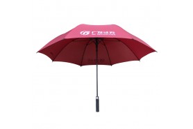 Golf Umbrella-江門市千千傘業有限公司-30 inch golf umbrella 009